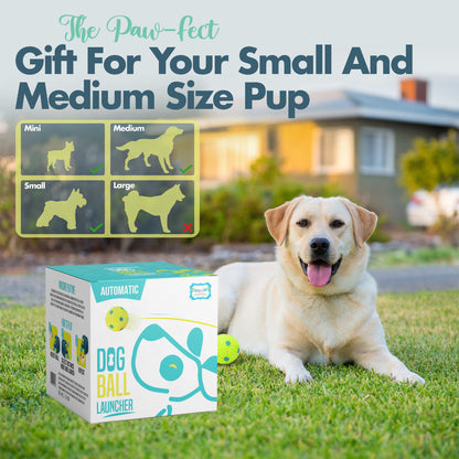 Automatic Dog Ball Launher, Ball Thrower for Small to Medium Sized Dogs, Great Interactive Dog Toy with 6 Latex Balls, Dual Power Supply